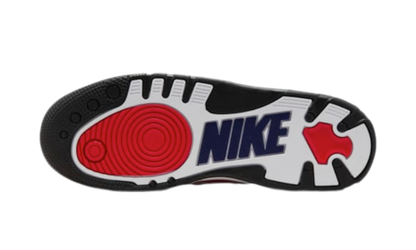 Nike Air Force 3 Low SP Nigo Blue Void